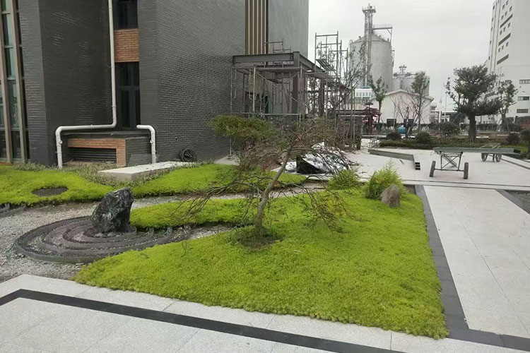 常州庭院设计施工一体化流程